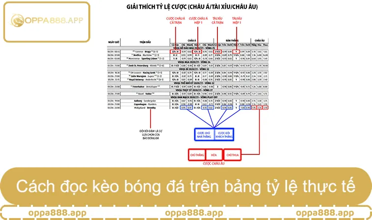 Cách Đọc Kèo Bóng Đá Dễ Hiểu Từ Cơ Bản Đến Nâng Cao 1 Cách đọc kèo bóng đá trên bảng tỷ lệ thực tế