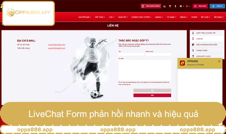 LiveChat Telegram phản hồi nhanh và hiệu quả